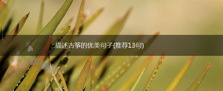 描述古筝的优美句子(推荐13句),第1张