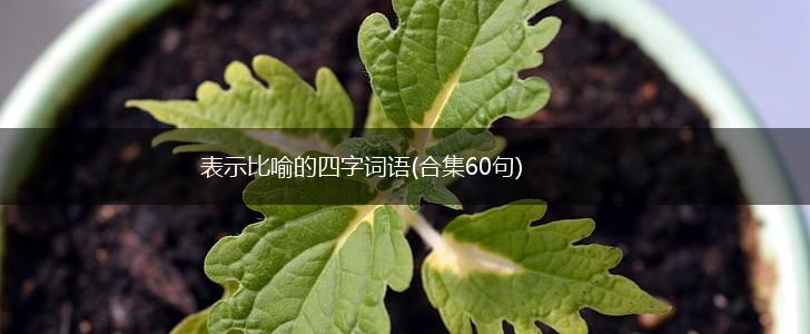 表示比喻的四字词语(合集60句),第1张