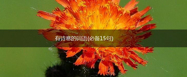 有诗意的词语(必备15句),第1张