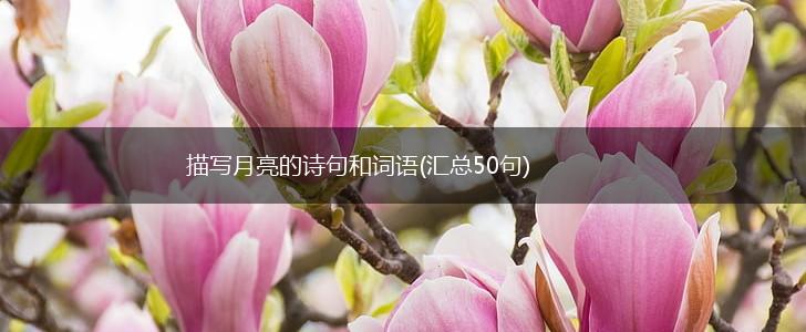 描写月亮的诗句和词语(汇总50句),第1张