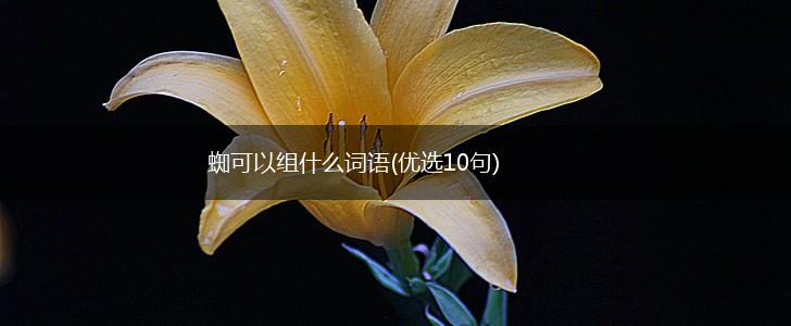 蜘可以组什么词语(优选10句),第1张