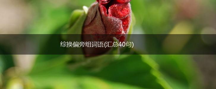 综换偏旁组词语(汇总40句),第1张