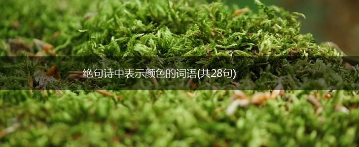 绝句诗中表示颜色的词语(共28句),第1张