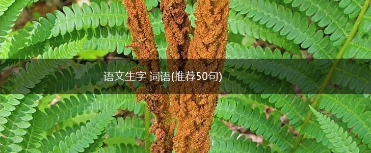 语文生字 词语(推荐50句),第1张