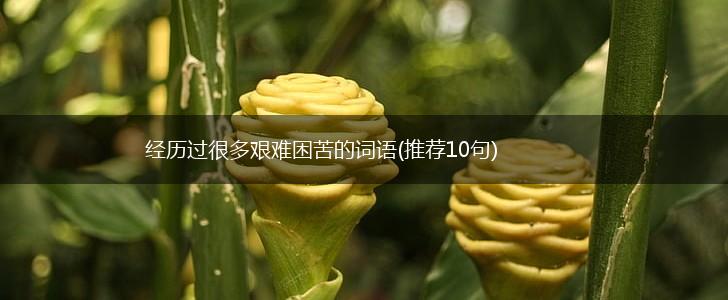 经历过很多艰难困苦的词语(推荐10句),第1张