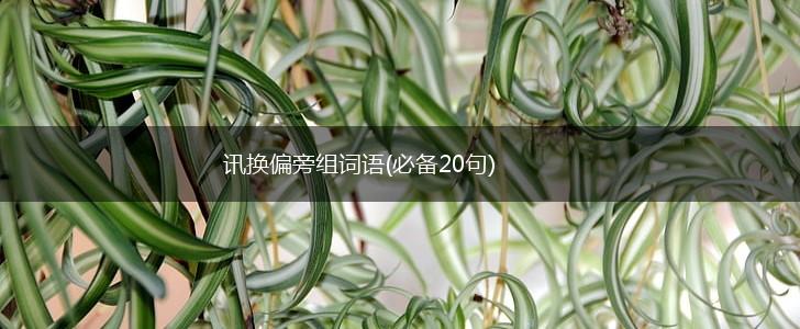 讯换偏旁组词语(必备20句),第1张