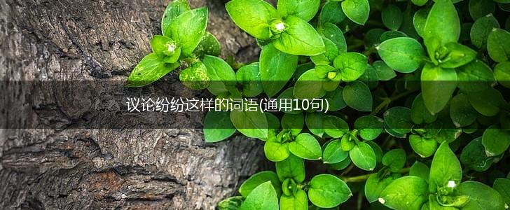 议论纷纷这样的词语(通用10句),第1张