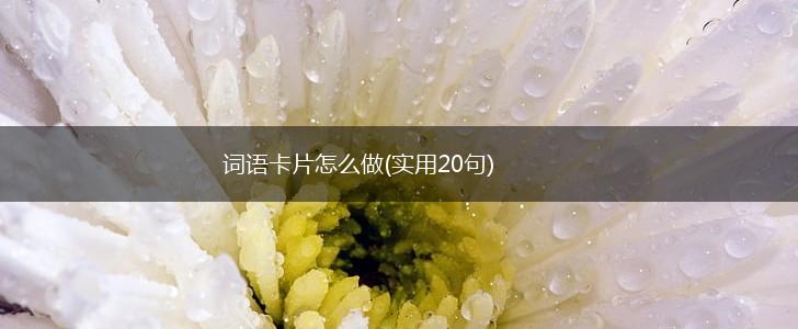 词语卡片怎么做(实用20句),第1张