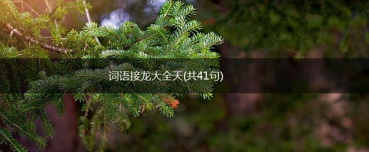 词语接龙大全天(共41句),第1张