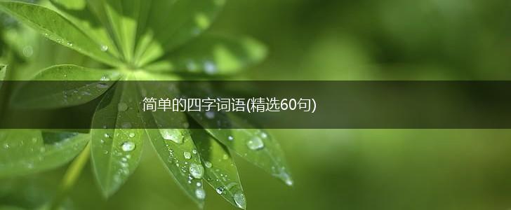 简单的四字词语(精选60句),第1张
