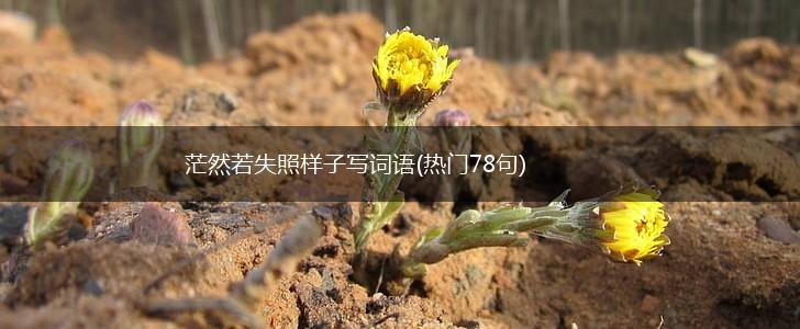 茫然若失照样子写词语(热门78句),第1张