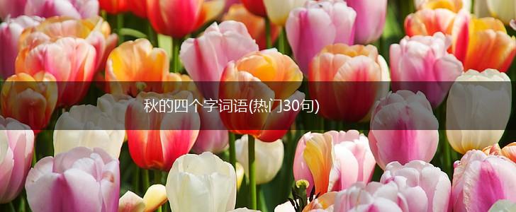 秋的四个字词语(热门30句),第1张