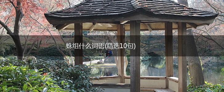 蛛组什么词语(精选10句),第1张