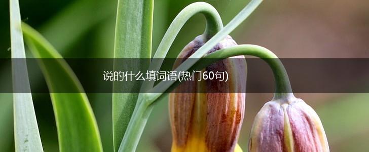说的什么填词语(热门60句),第1张
