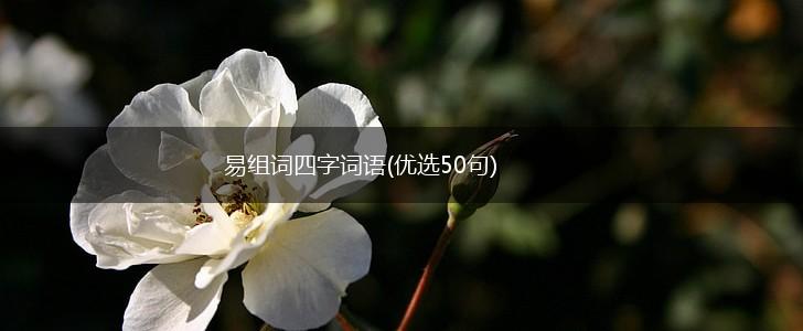 易组词四字词语(优选50句),第1张