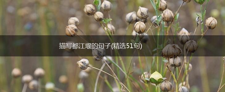 描写都江堰的句子(精选51句),第1张