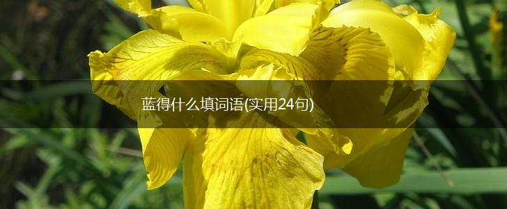 蓝得什么填词语(实用24句),第1张