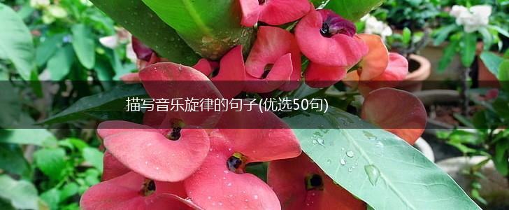 描写音乐旋律的句子(优选50句),第1张