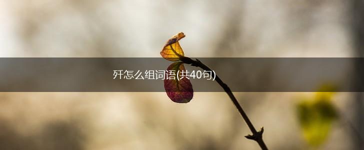 歼怎么组词语(共40句),第1张