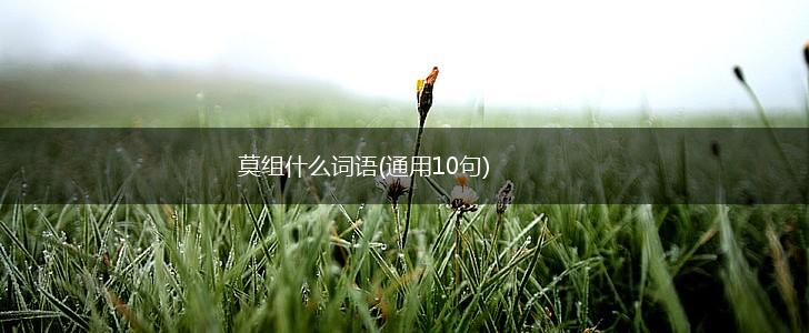 莫组什么词语(通用10句),第1张