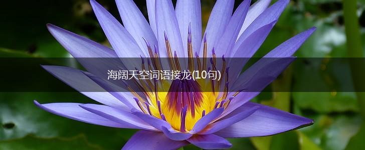 海阔天空词语接龙(10句),第1张