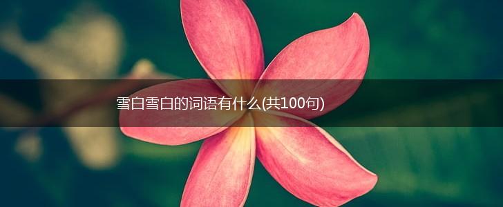 雪白雪白的词语有什么(共100句),第1张