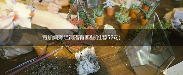 青加偏旁组词语有哪些(推荐52句),第1张