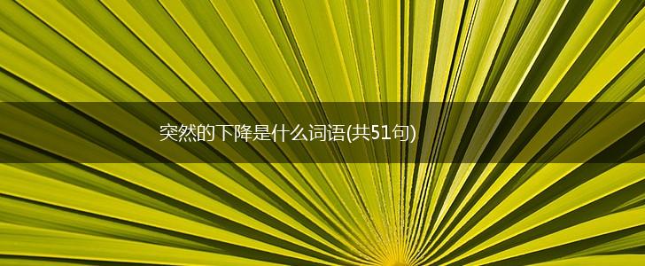 突然的下降是什么词语(共51句),第1张