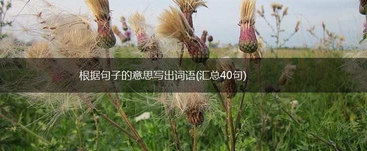 根据句子的意思写出词语(汇总40句),第1张