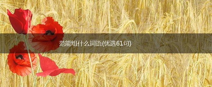 范能组什么词语(优选61句),第1张
