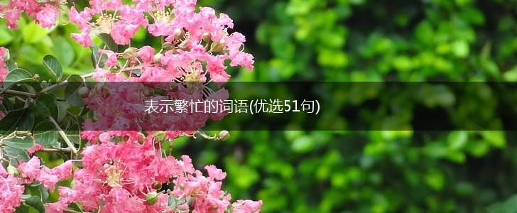 表示繁忙的词语(优选51句),第1张
