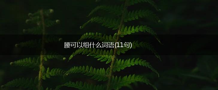 腰可以组什么词语(11句),第1张