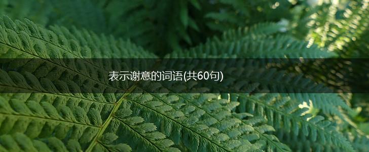 表示谢意的词语(共60句),第1张