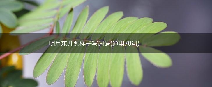 明月东升照样子写词语(通用70句),第1张