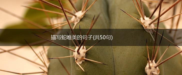 描写蛇唯美的句子(共50句),第1张