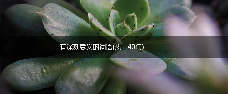 有深刻意义的词语(热门40句),第1张