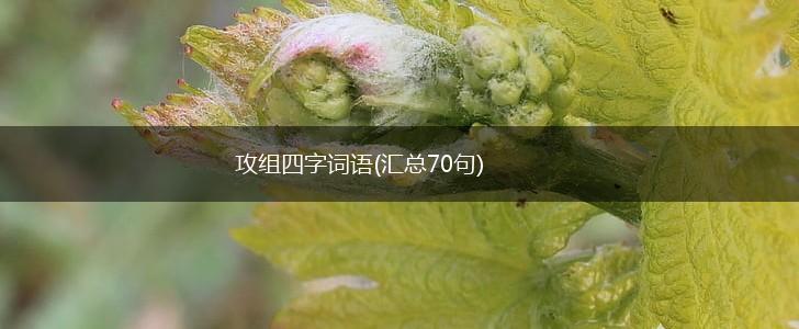 攻组四字词语(汇总70句),第1张