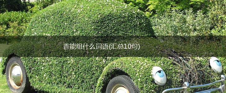 香能组什么词语(汇总10句),第1张