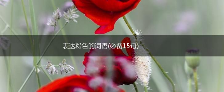表达粉色的词语(必备15句),第1张