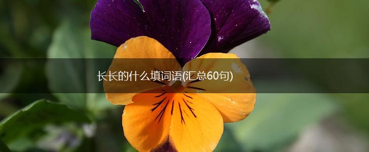 长长的什么填词语(汇总60句),第1张