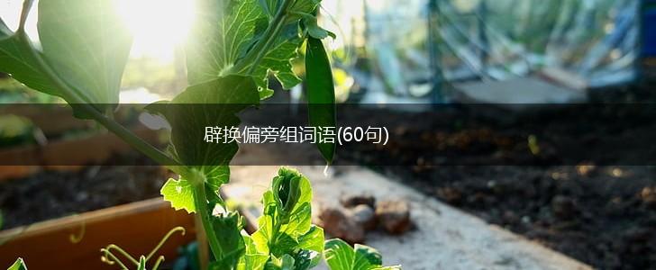 辟换偏旁组词语(60句),第1张