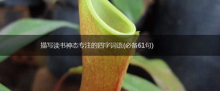 描写读书神态专注的四字词语(必备61句),第1张