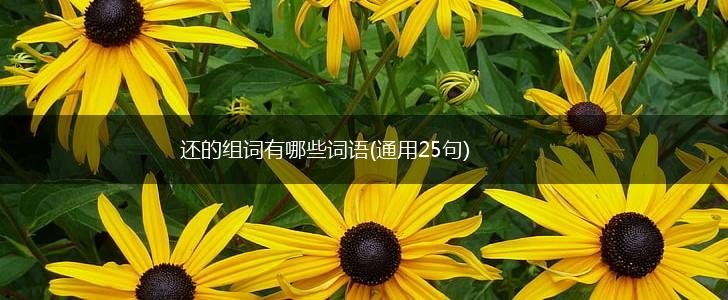 还的组词有哪些词语(通用25句),第1张