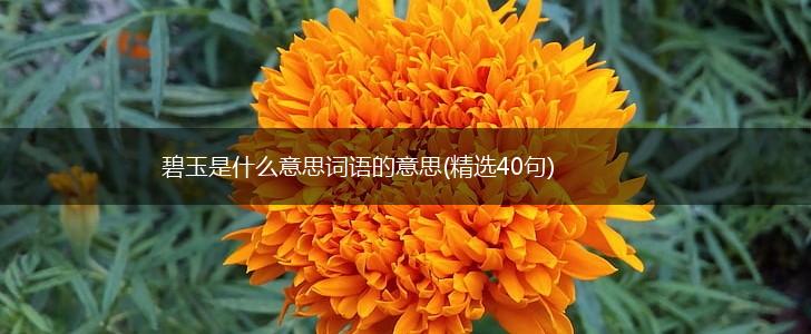 碧玉是什么意思词语的意思(精选40句),第1张