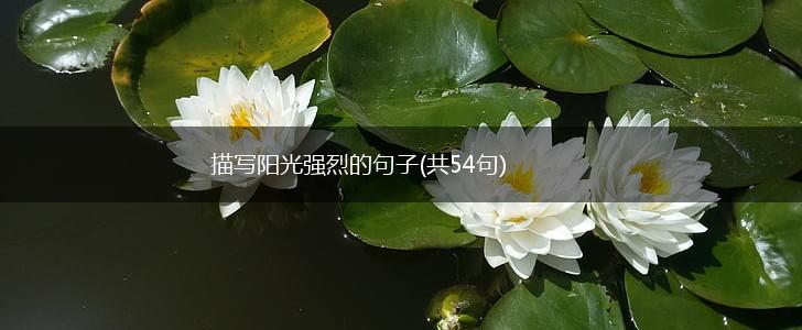 描写阳光强烈的句子(共54句),第1张