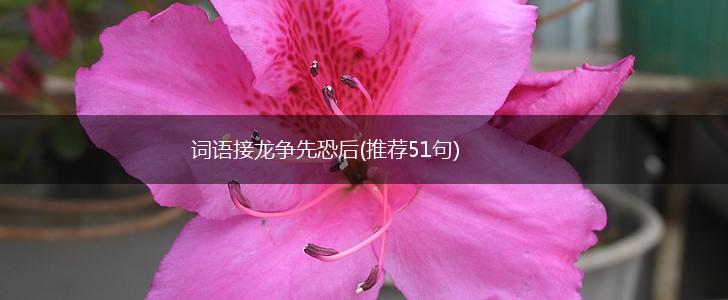 词语接龙争先恐后(推荐51句),第1张