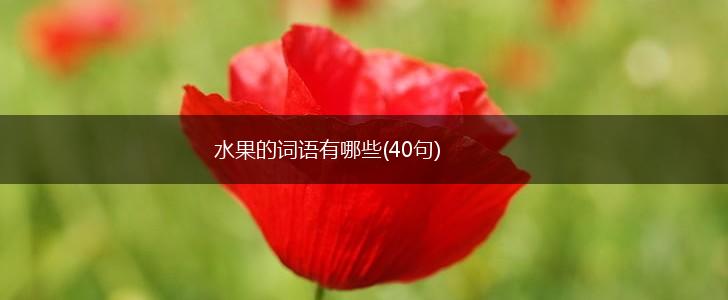 水果的词语有哪些(40句),第1张