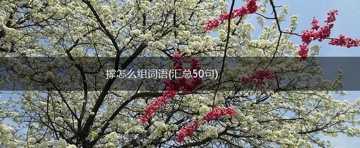 撑怎么组词语(汇总50句),第1张