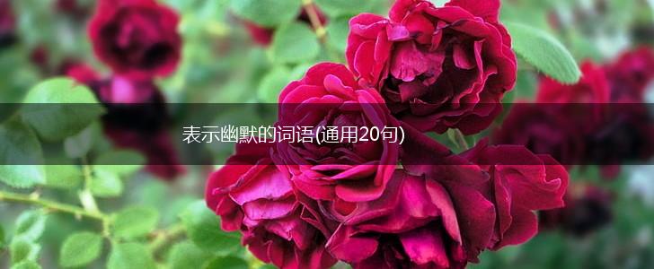 表示幽默的词语(通用20句),第1张