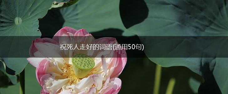 祝死人走好的词语(通用50句),第1张